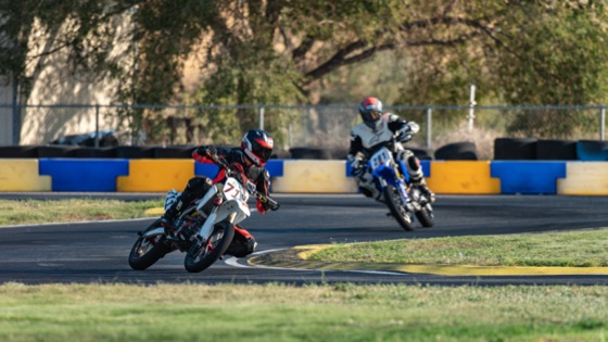 The #711 ahead of another rider under the trees (photo 39 of 117)